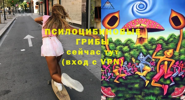 ГАЛЛЮЦИНОГЕННЫЕ ГРИБЫ Елабуга