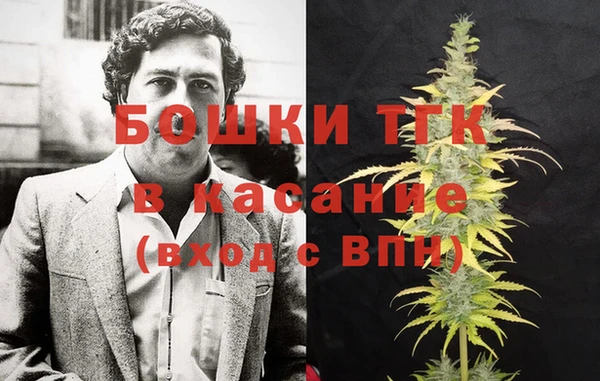 ГАЛЛЮЦИНОГЕННЫЕ ГРИБЫ Елабуга
