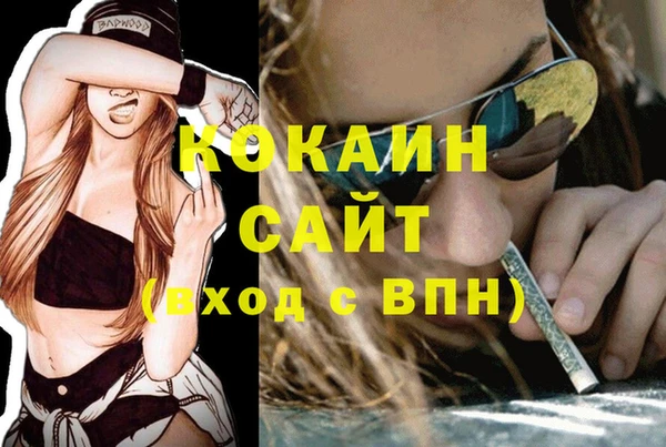 ГАЛЛЮЦИНОГЕННЫЕ ГРИБЫ Елабуга